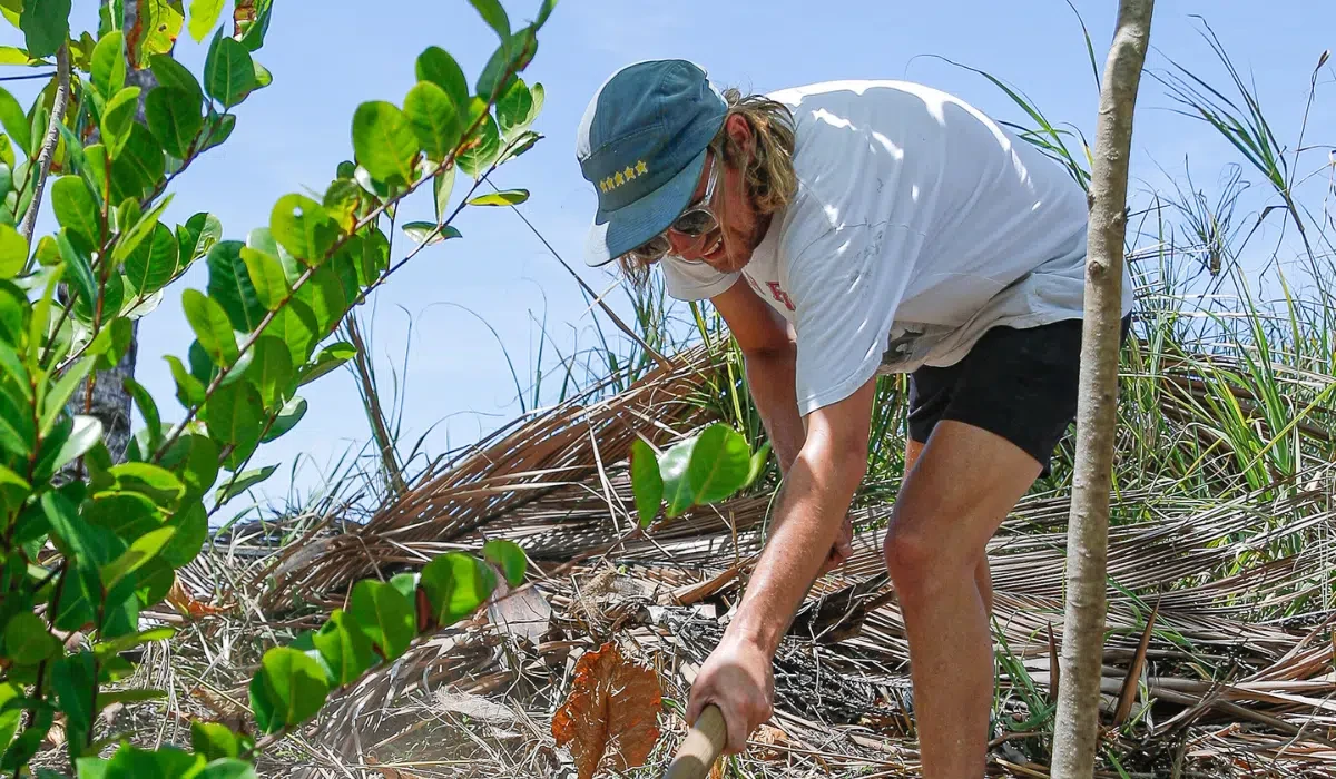 Volunteer clearing coastal debris among shoreline vegetation as part of Nantipa's habitat restoration program